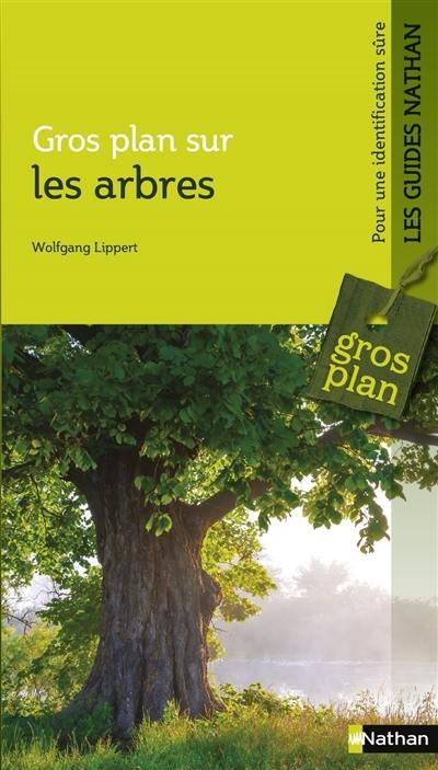 Gros plan sur les arbres : reconnaître et déterminer les feuillus et conifères d'Europe