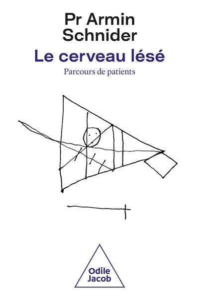 Le cerveau lésé : parcours de patients