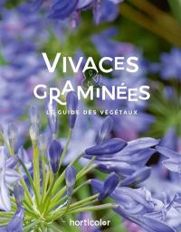 Vivaces & graminées : le guide des végétaux