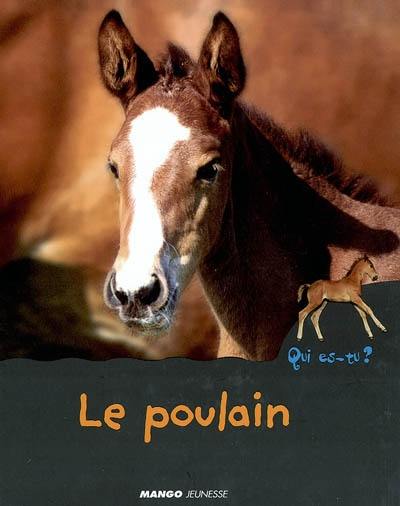 Le poulain