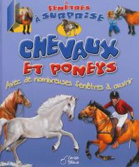 Chevaux et poneys : avec de nombreuses fenêtres à ouvrir