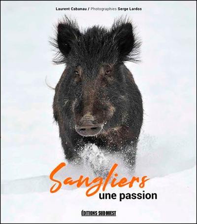 Sangliers : une passion