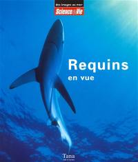 Requins en vue