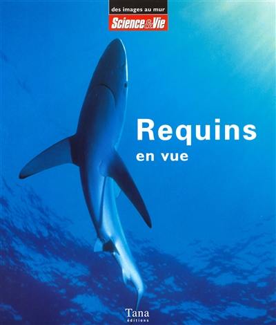 Requins en vue