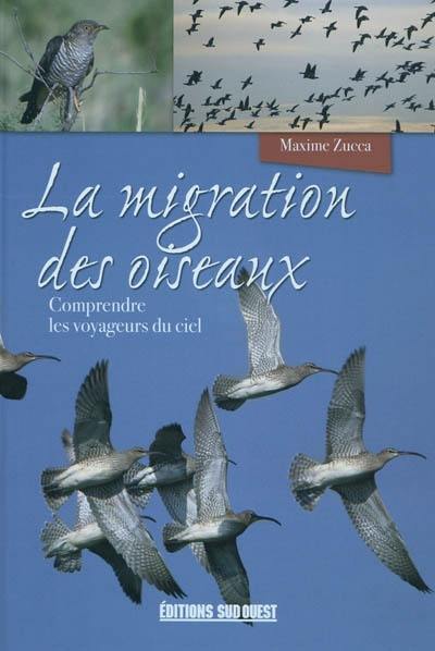 La migration des oiseaux : comprendre les voyageurs du ciel