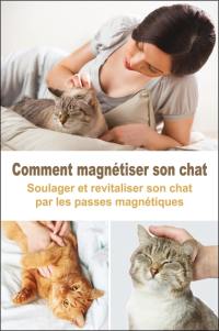 Comment magnétiser son chat : soulager et revitaliser son chat par les passes magnétiques