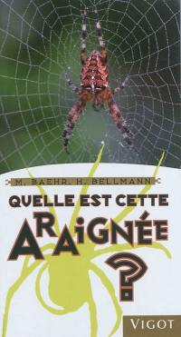 Quelle est cette araignée ?