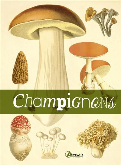 Champignons