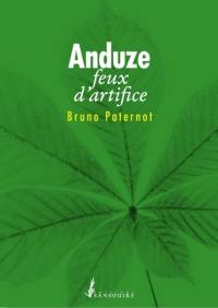 Anduze : feux d'artifice