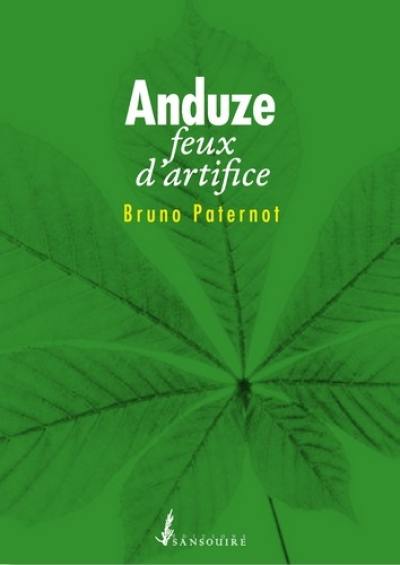 Anduze : feux d'artifice