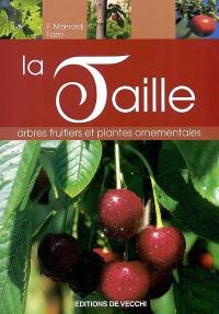 La taille