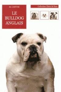 Le bulldog anglais