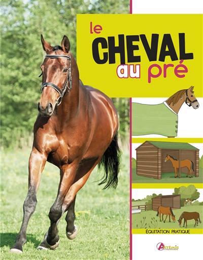 Avoir un cheval dans un pré