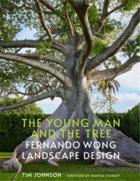 Young Man and the Tree : Fernando Wong Landscape Design