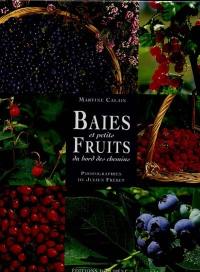 Baies et fruits des bords de chemin