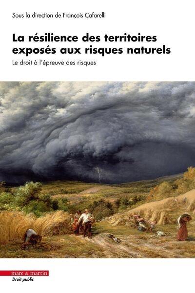 La résilience des territoires exposés aux risques naturels : le droit à l'épreuve des risques