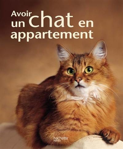 Avoir un chat en appartement