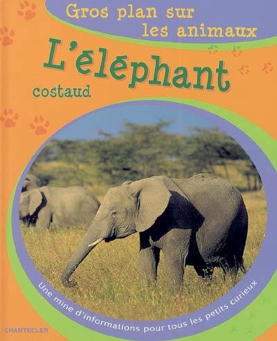 L'éléphant costaud