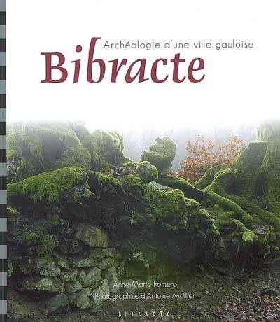 Bibracte : archéologie d'une ville gauloise