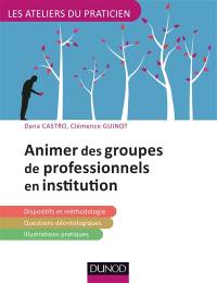 Animer des groupes professionnels en institution