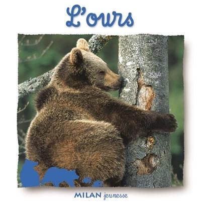 L'ours