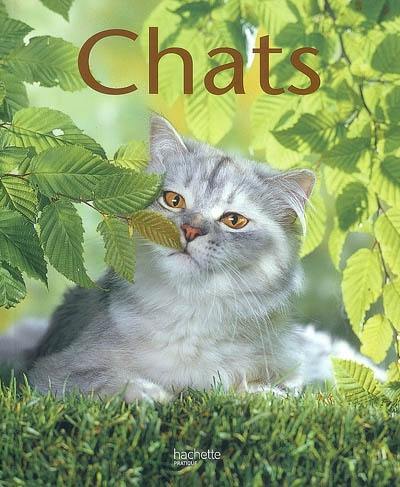 Chats