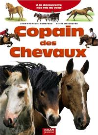 Copain des chevaux : à la découverte des fils du vent