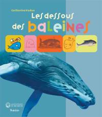 Les dessous des baleines