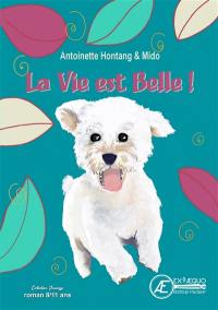 La vie est belle ! : roman jeunesse