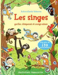 Les singes : gorilles, chimpanzés et orangs-outans