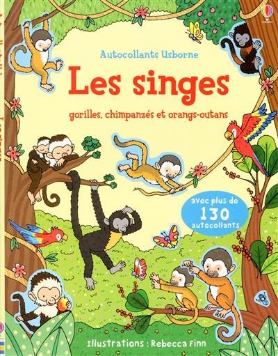 Les singes : gorilles, chimpanzés et orangs-outans