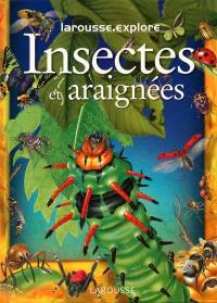 Les insectes et les araignées