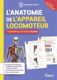 L'anatomie de l'appareil locomoteur : l'essentiel en 120 fiches visuelles : filières santé et sport