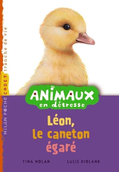 Animaux en détresse. Léon, le caneton égaré