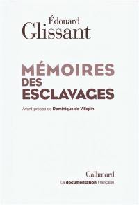 Mémoires des esclavages : la fondation d'un centre national pour la mémoire des esclavages et de leurs abolitions