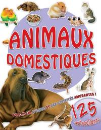 Animaux domestiques