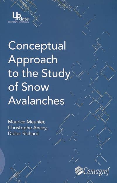 Conceptual approach to the study of snow avalanches