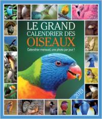 Le grand calendrier des oiseaux 2019 : calendrier mensuel, une photo par jour !