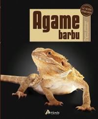 Agame barbu : Pogona vitticeps, P. henrylawsoni