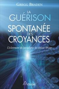 La guérison spontanée des croyances : l'éclatement du paradigme des fausses limites