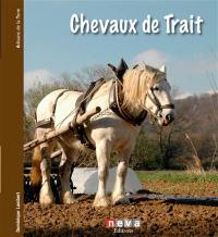 Chevaux de trait : le passé a de l'avenir