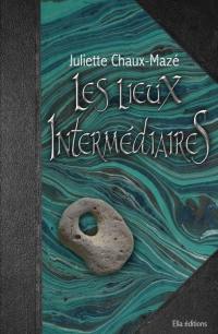 Les lieux intermédiaires. Vol. 2. Le Pays Gris