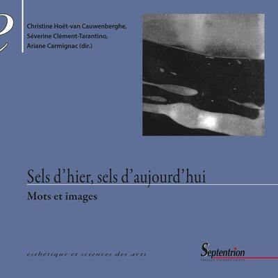 Sels d'hier, sels d'aujourd'hui : mots et images