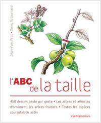 L'abc de la taille