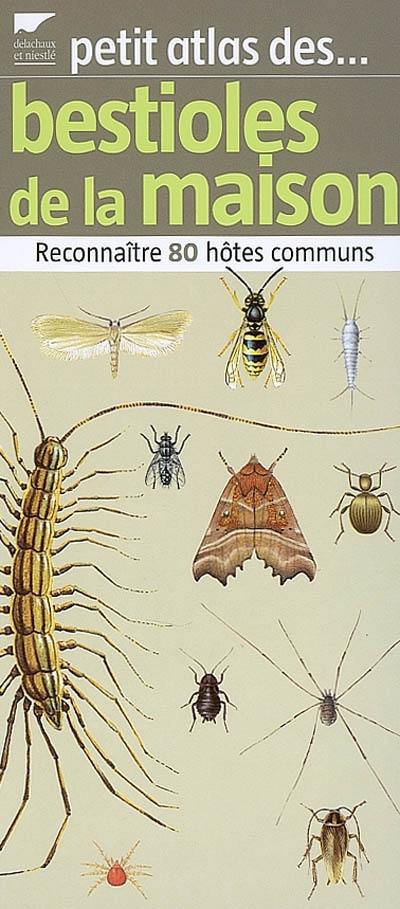 Petit atlas des bestioles de la maison : reconnaître 80 hôtes communs