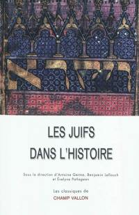 Les Juifs dans l'histoire : de la naissance du judaïsme au monde contemporain