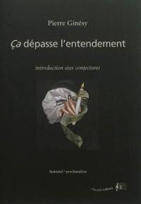 Ca dépasse l'entendement : introduction aux conjectures