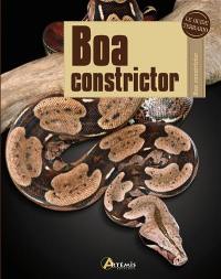 Boa constrictor