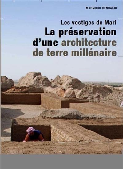 Les vestiges de Mari : la préservation d'une architecture millénaire en terre