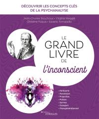 Le grand livre de l'inconscient : découvrir les concepts clés de la psychanalyse : fantasme, perversion, projection, pulsion, surmoi, transfert, transgénérationnel